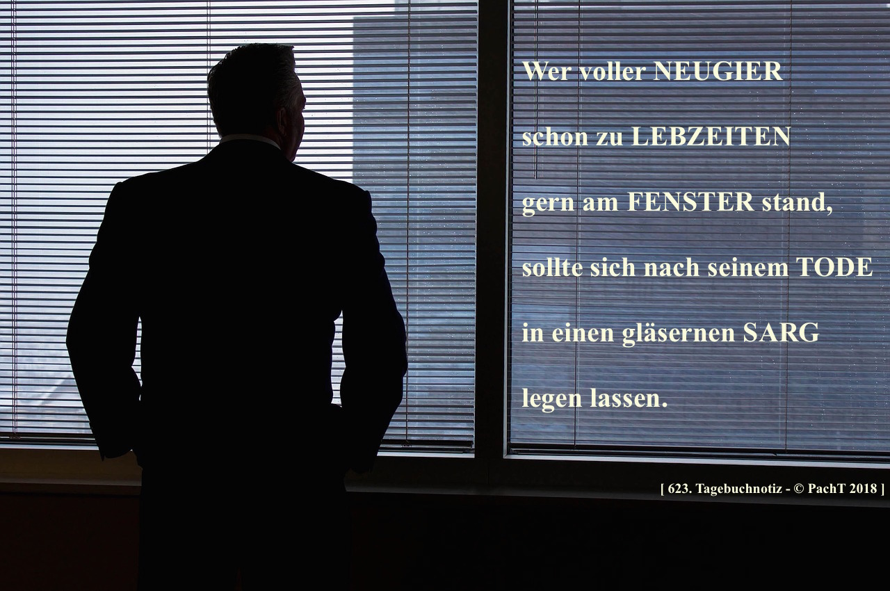 SSW623.Gedanke_Ewige Neugier