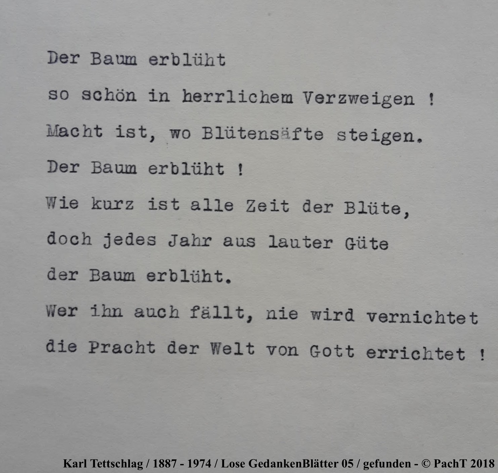 1887 - 1974 Erinnerungen an meinen Opa _ Lose GedankenBlätter 05