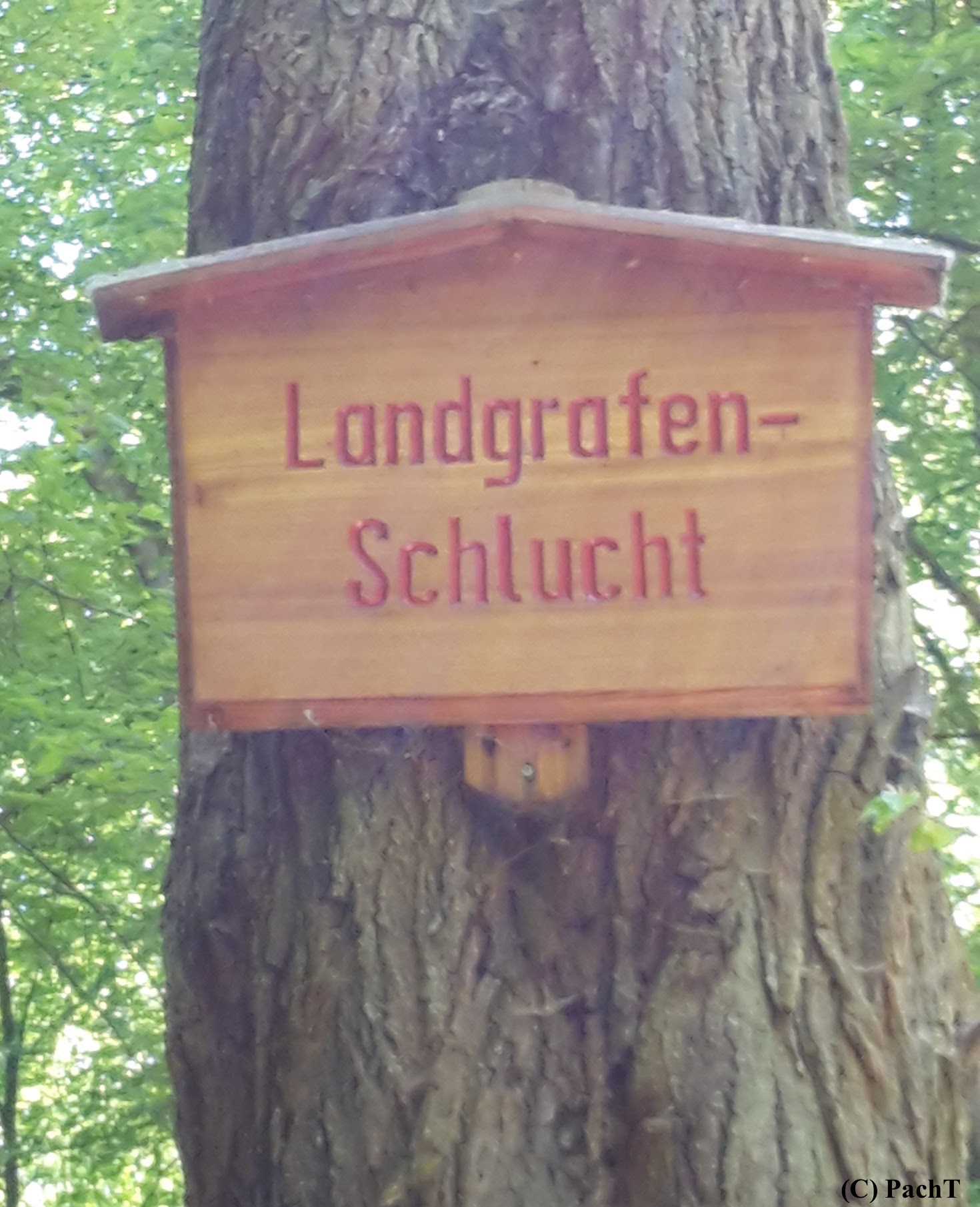 2018.05.05_ Eisenach LANDGRAFENSCHLUCHT 03