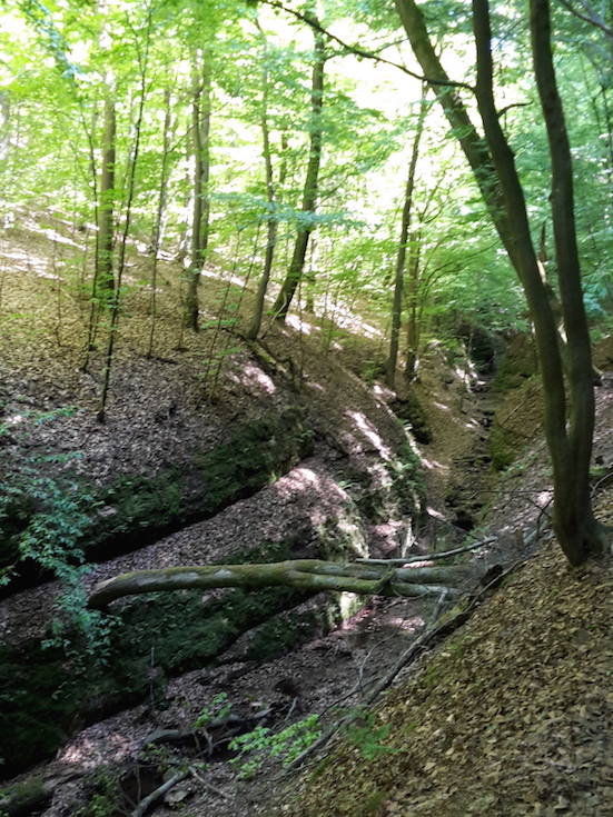 2018.05.05_ Eisenach LANDGRAFENSCHLUCHT 06 Naturbelassen