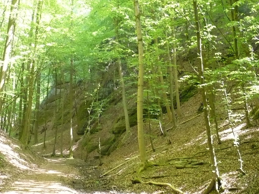 2018.05.05_ Eisenach LANDGRAFENSCHLUCHT 08