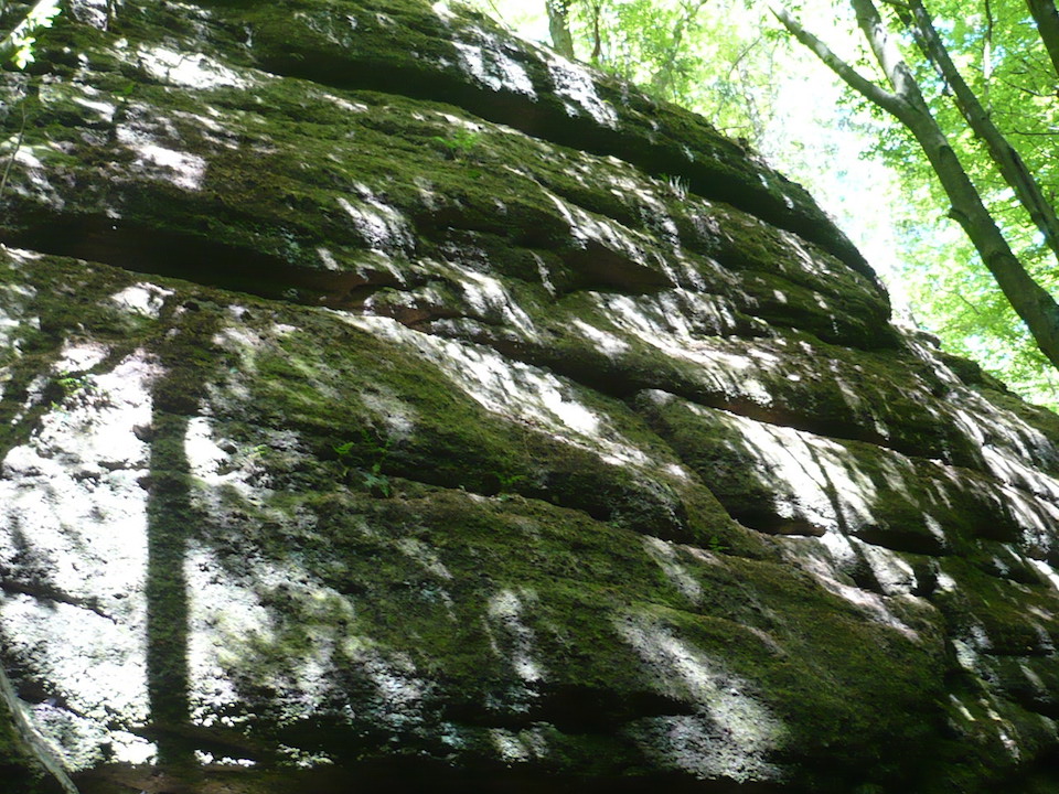 2018.05.05_ Eisenach LANDGRAFENSCHLUCHT 09 Bemooste Felsen