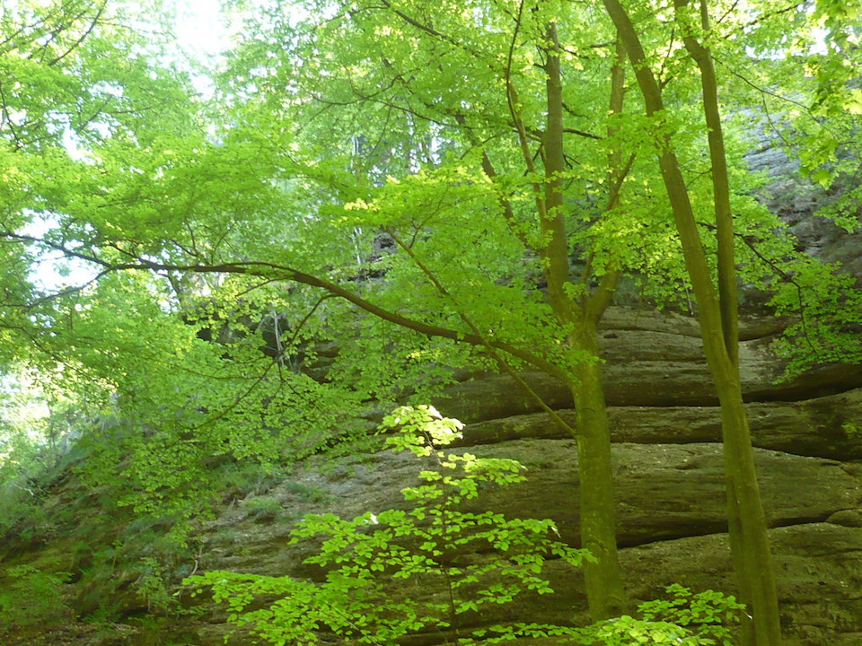 2018.05.05_ Eisenach LANDGRAFENSCHLUCHT 10 FelsWände