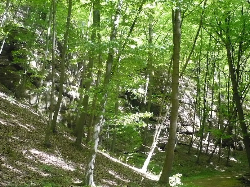 2018.05.05_ Eisenach LANDGRAFENSCHLUCHT 11