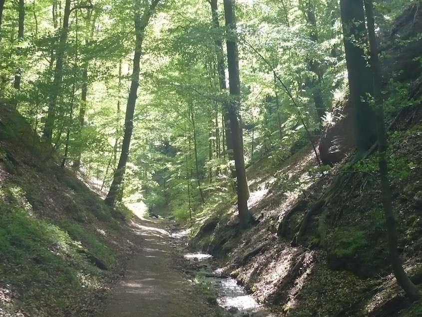 2018.05.05_ Eisenach LANDGRAFENSCHLUCHT 18