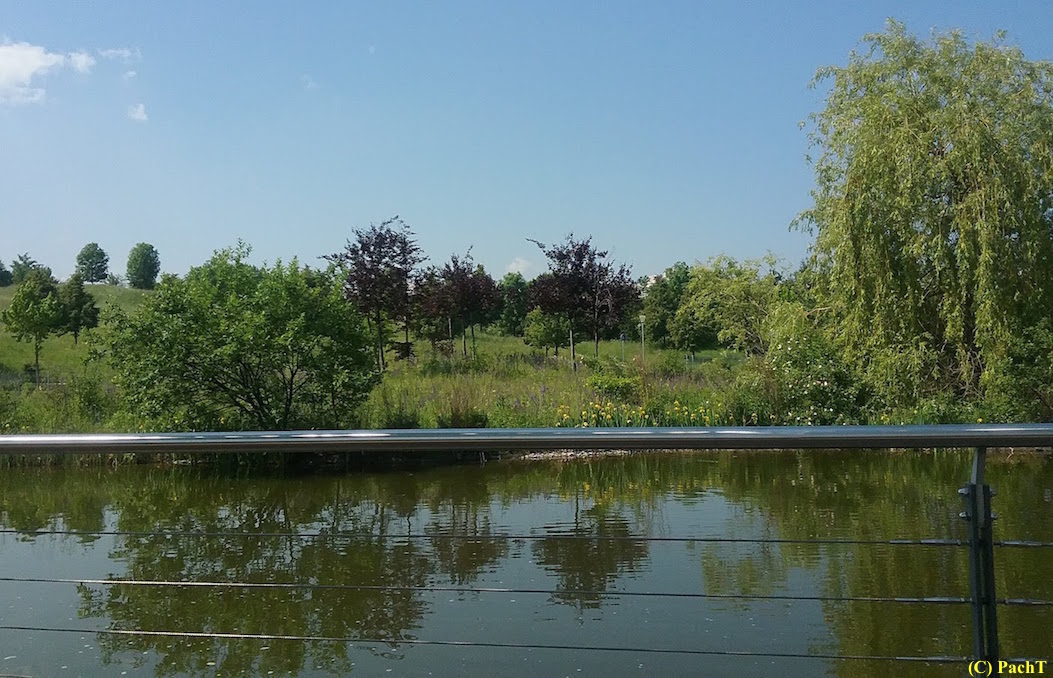 Haarbergstraße Kathol. Krankenhaus Garten 4