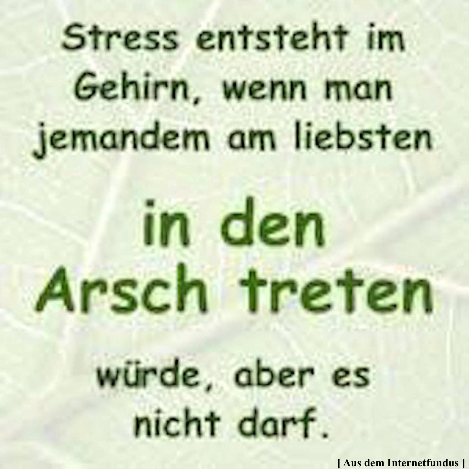 Zitat Stress
