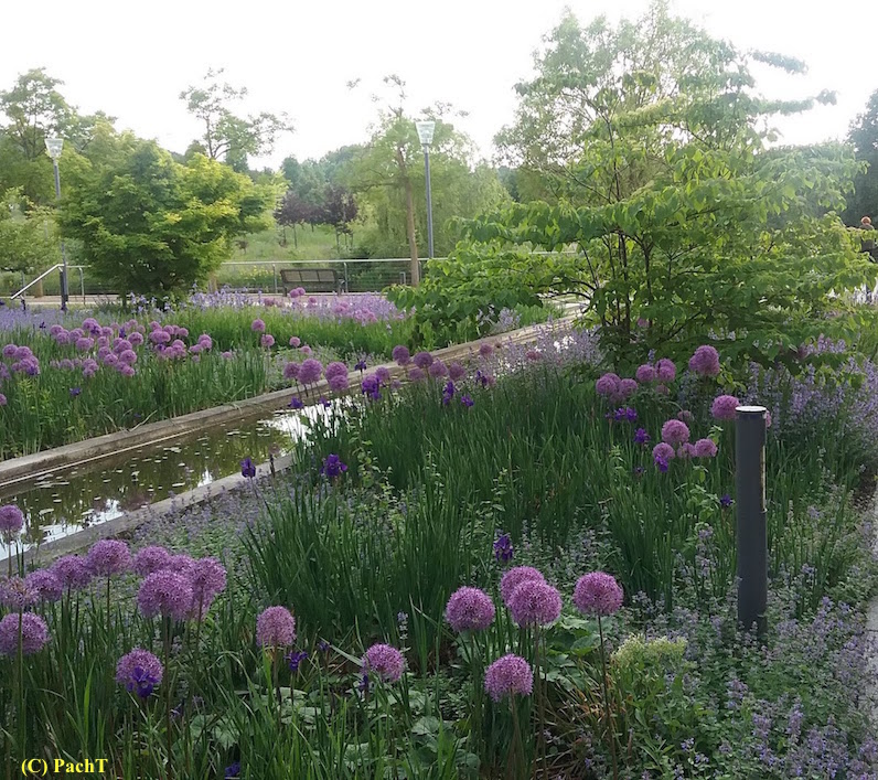 Haarbergstraße Kathol. Krankenhaus Garten 2
