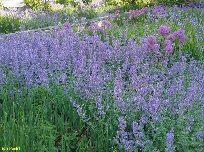 Haarbergstraße Kathol. Krankenhaus Garten 5