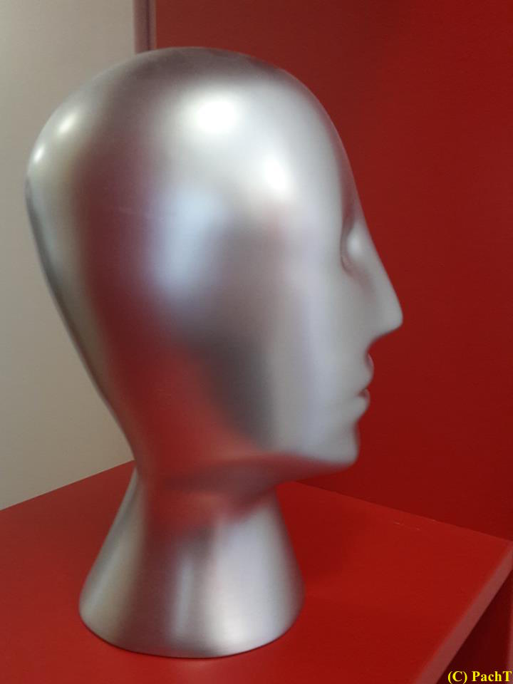 Kopf _ silbern im roten Regal