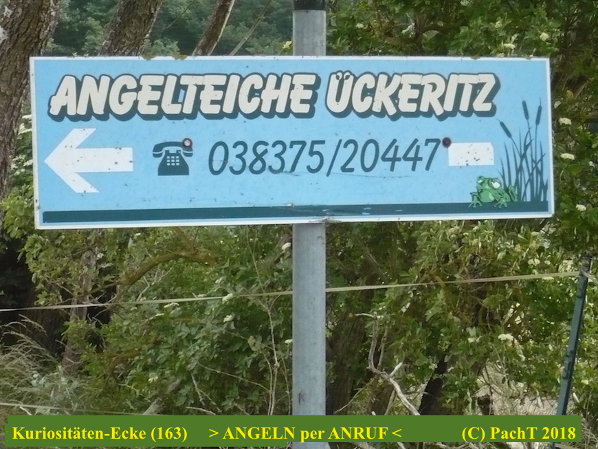 KURIOS 163 Angeln per Telefon