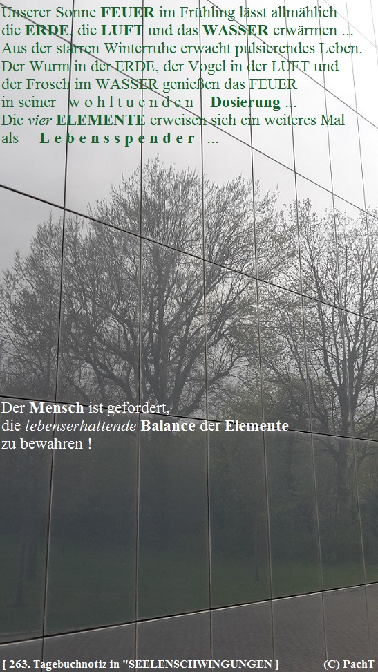 SSW263.Gedanke_VierElemente 9