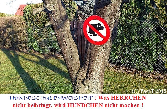 KURIOS 113 HundeSchulenWeisheit