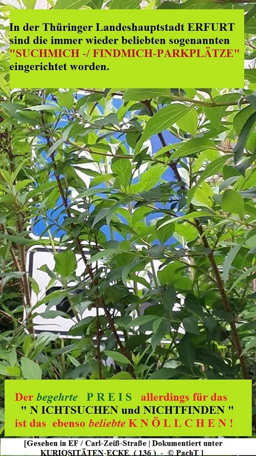 KURIOS 136 Such_Find_PP