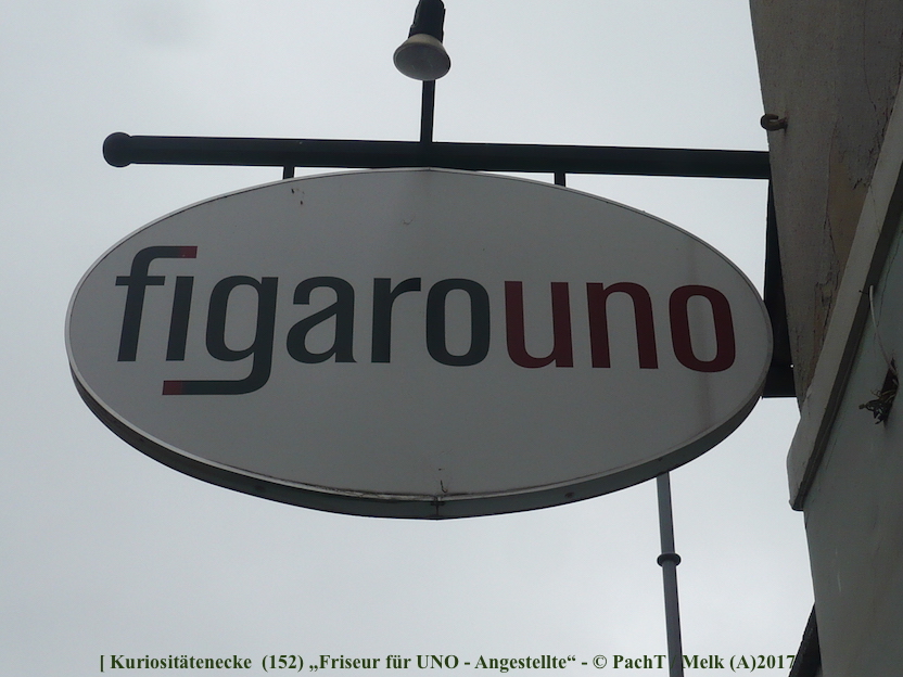 KURIOS 152 UNO-beauftragter Friseur
