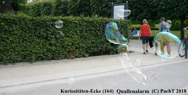 KURIOS 164 QuallenAlarm