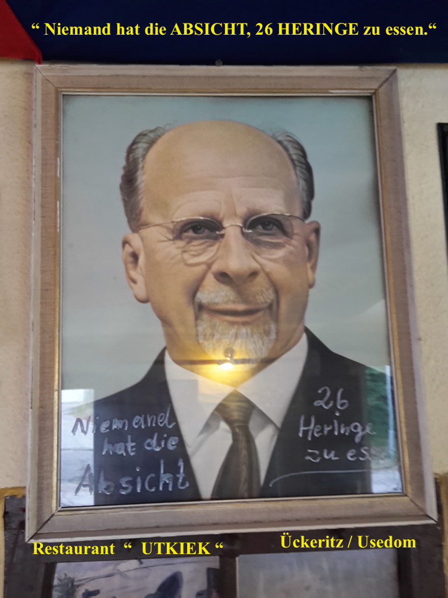 NIEMAND hat die ABSICHT ...