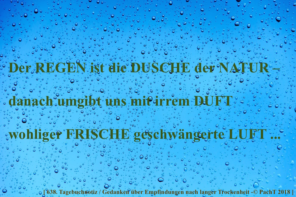 SSW368.Gedanke_Regen