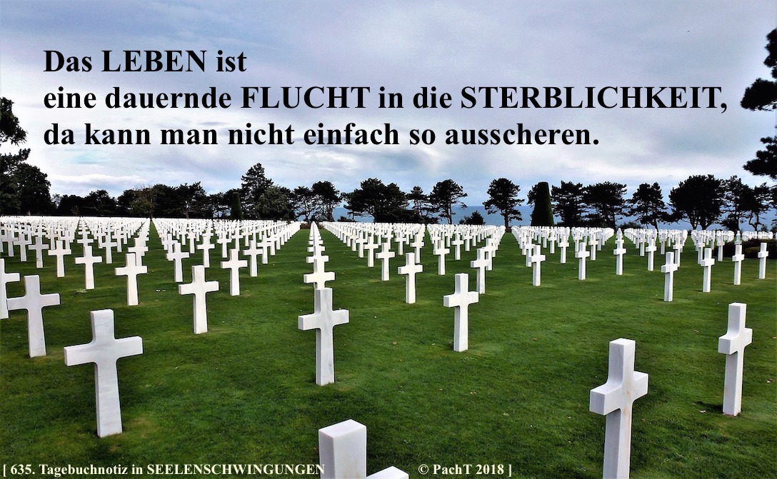 SSW635.Gedanke_Flucht