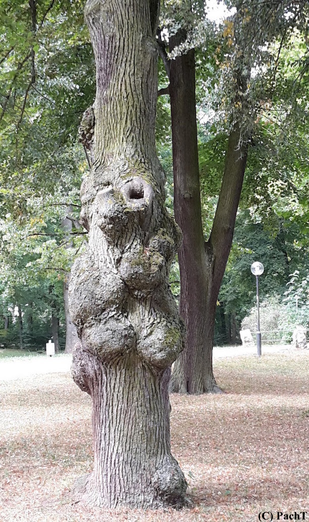 2018.08.15_21 Meinigen - Impressionen Schloßanlage