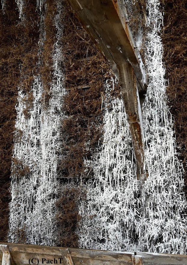 2018.08.21_04 Besuch in Bad Salzungen Gradierwerk