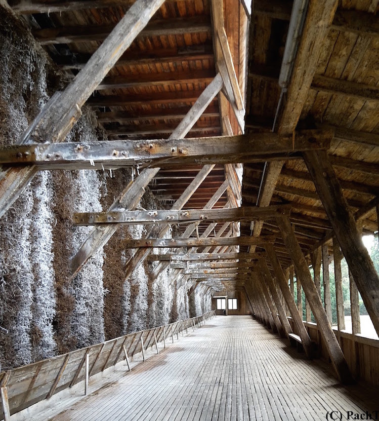 2018.08.21_06 Besuch in Bad Salzungen Gradierwerk
