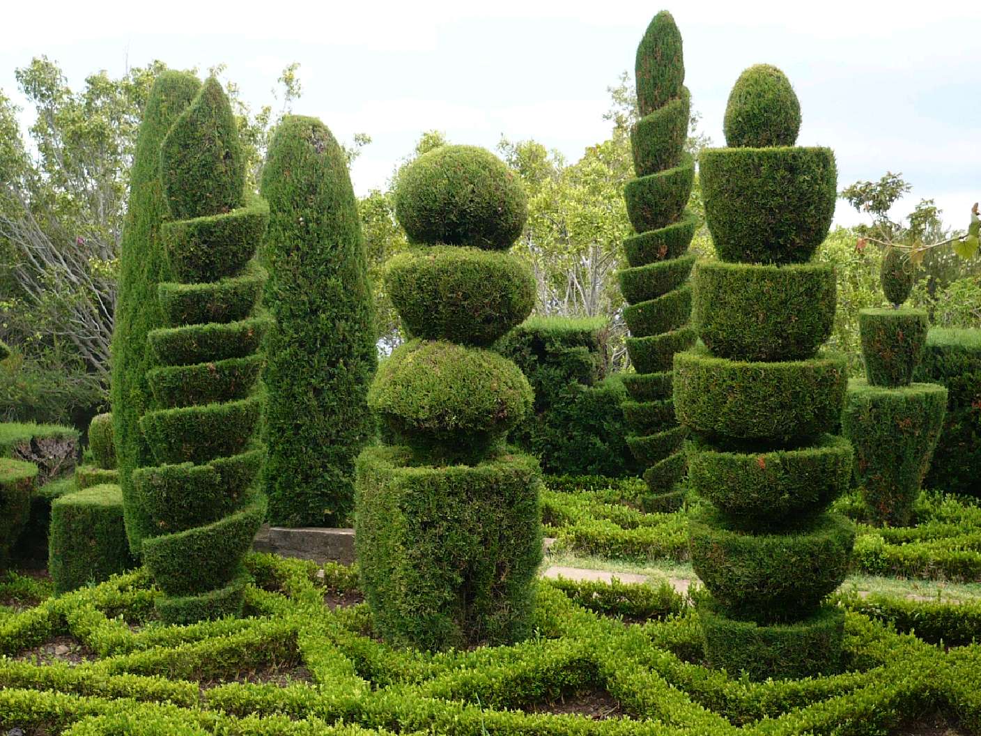 91 Botanischer Garten Funchal