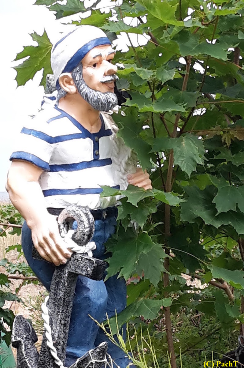 Junge vom Kölpinsee