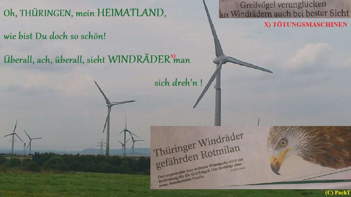 Windräder - Tötungsmaschinen