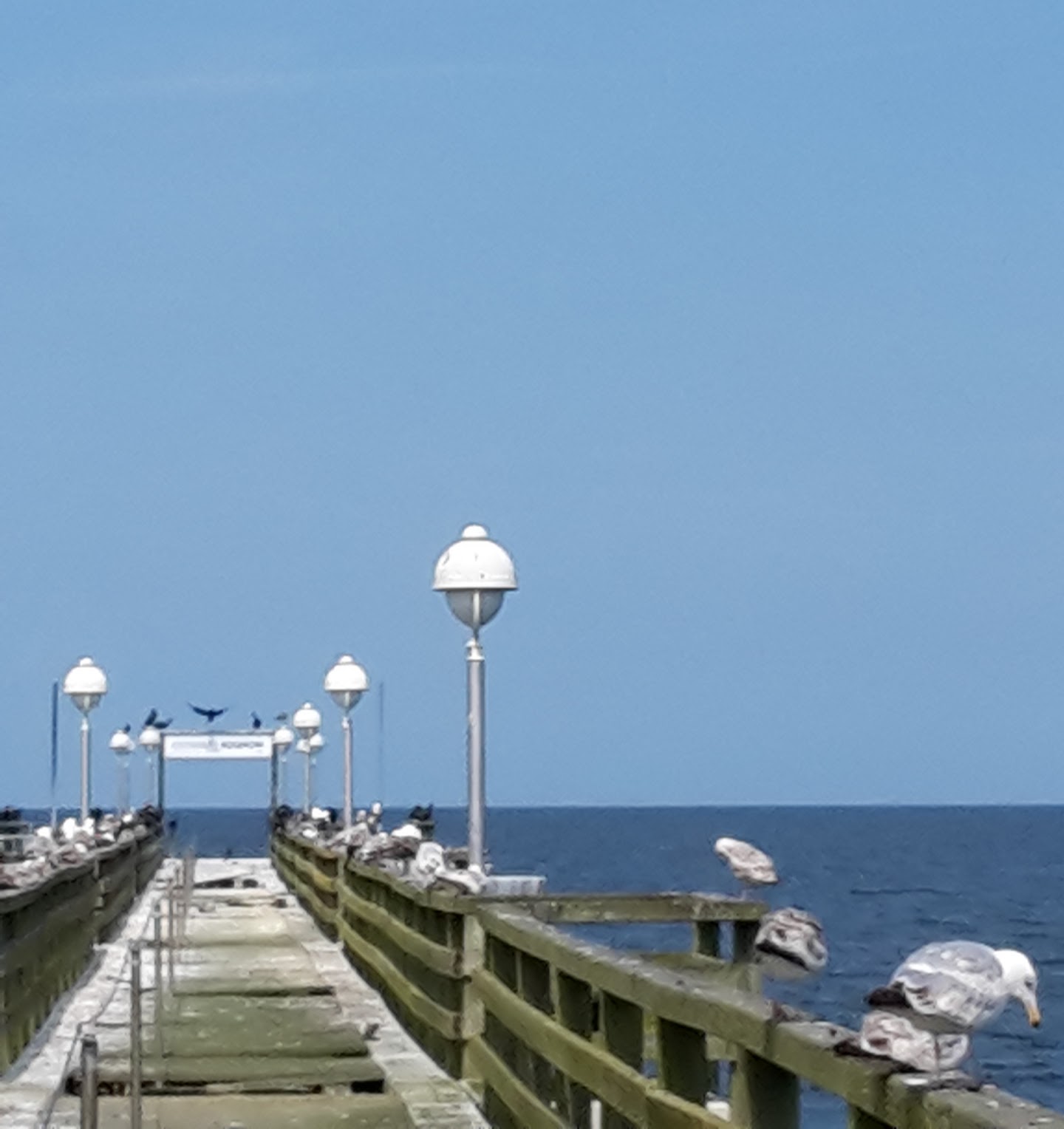 2018.06.09 - 23. URLAUB auf USEDOM 052 Koserow Seebrücke