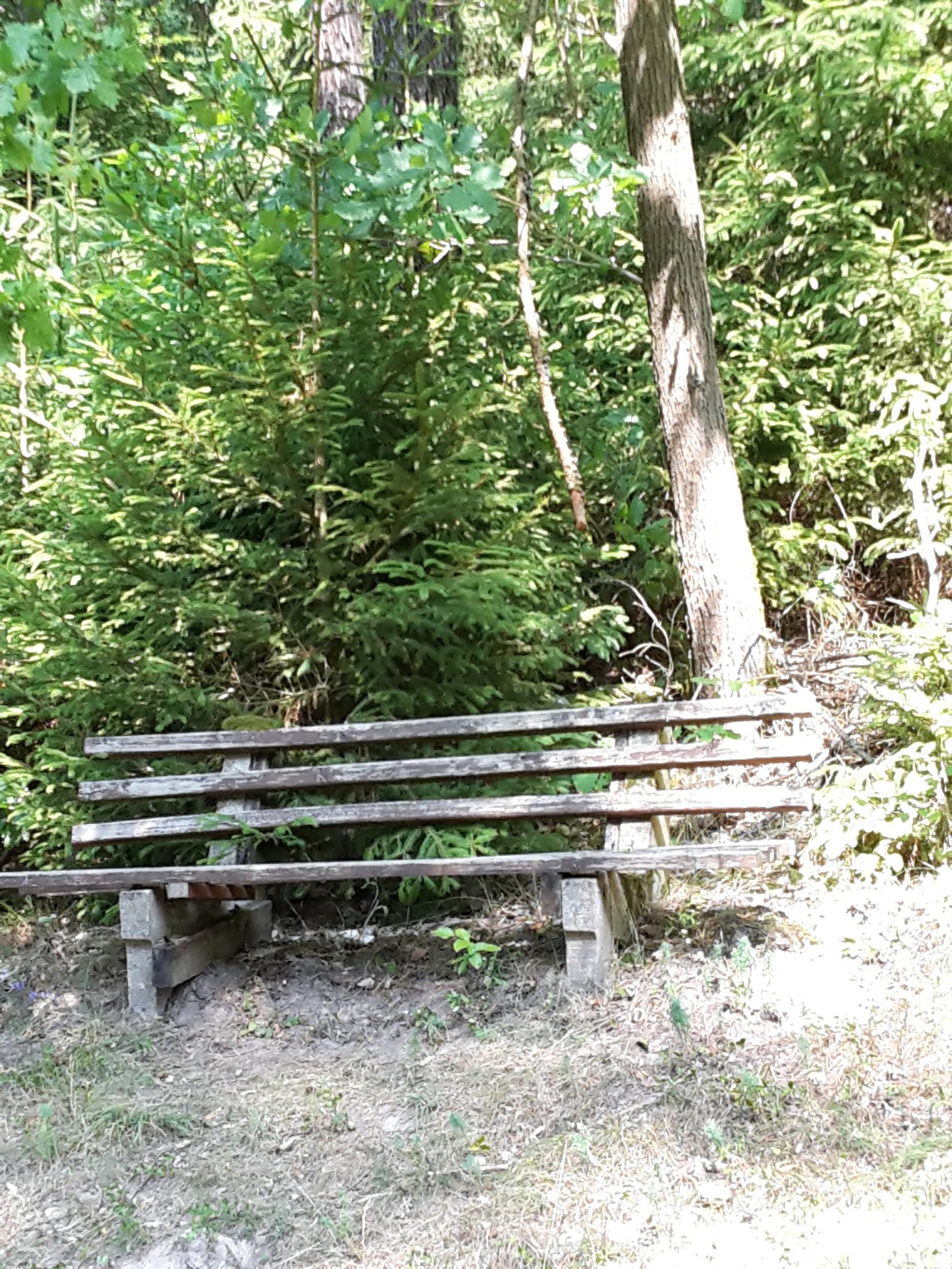 2018.08.29_Auf Opas Spuren Bad Berka 2 Dreiteichsgrund Opas Platz