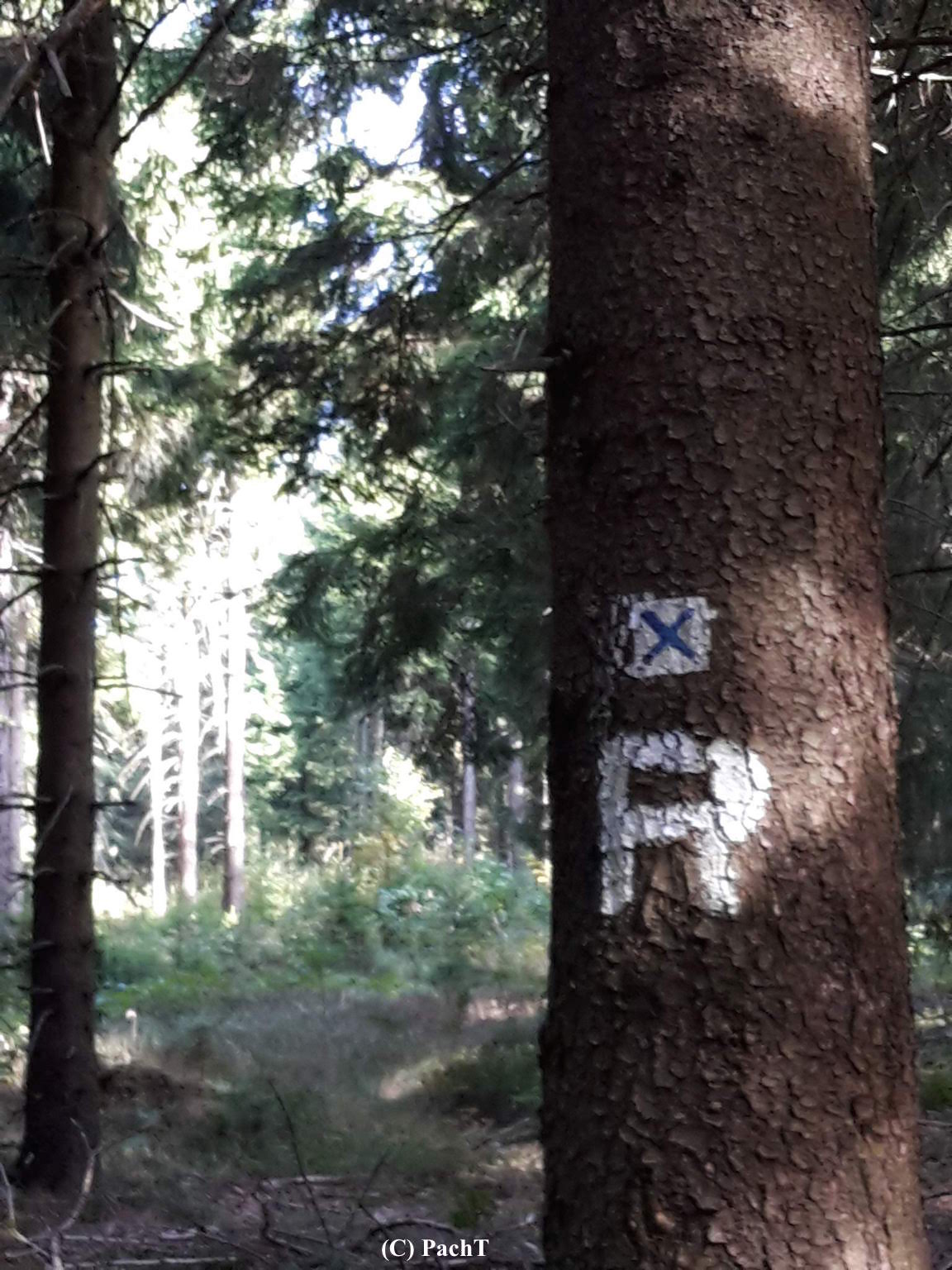 2018.09.17_Oberhof-Visite 8