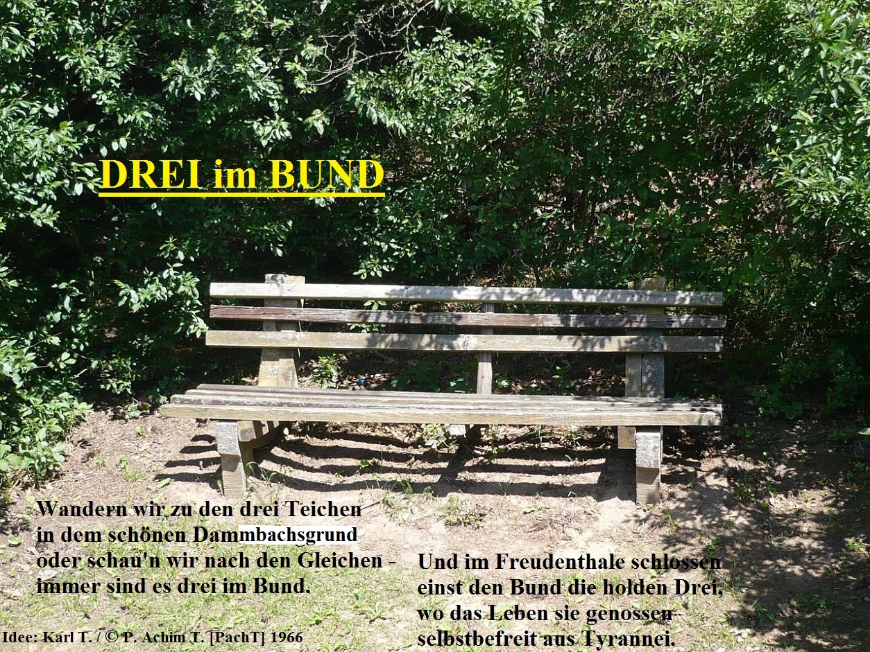Drei im Bund