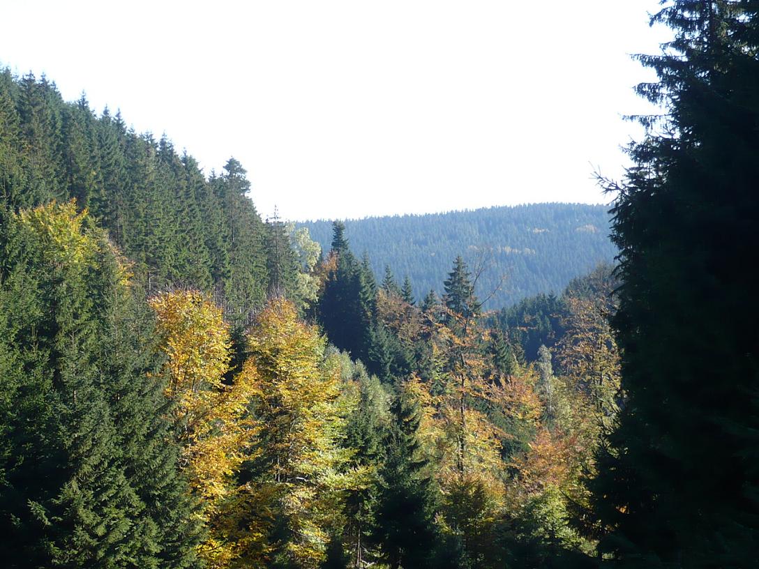 2009 Okt. Herbst Regenberg Frdroda