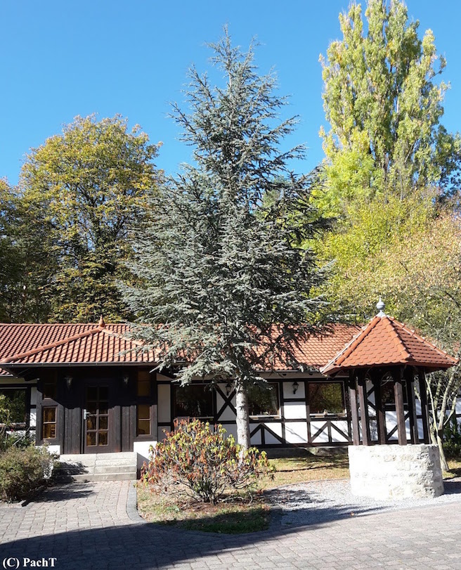 2018.10.13_04_WaldSpaziergang Mühlhausen