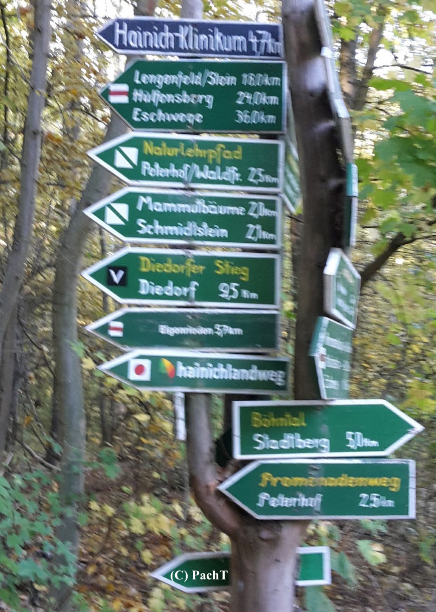 2018.10.13_14_WaldSpaziergang Rückblick