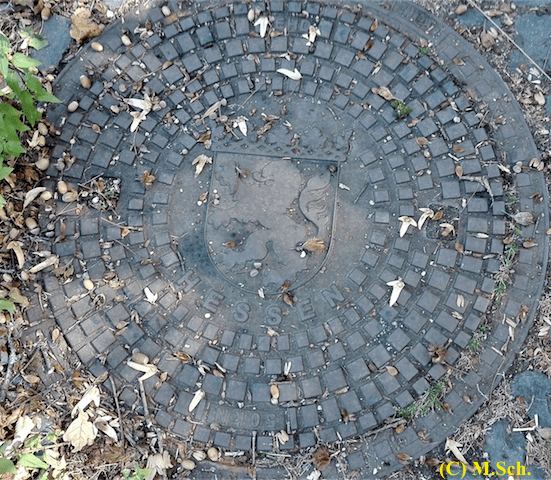 Hanau-Park Wilhelmsbad _ Hessen