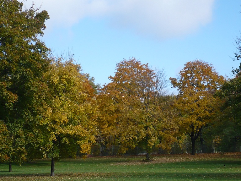 NordPark 1 Herbst