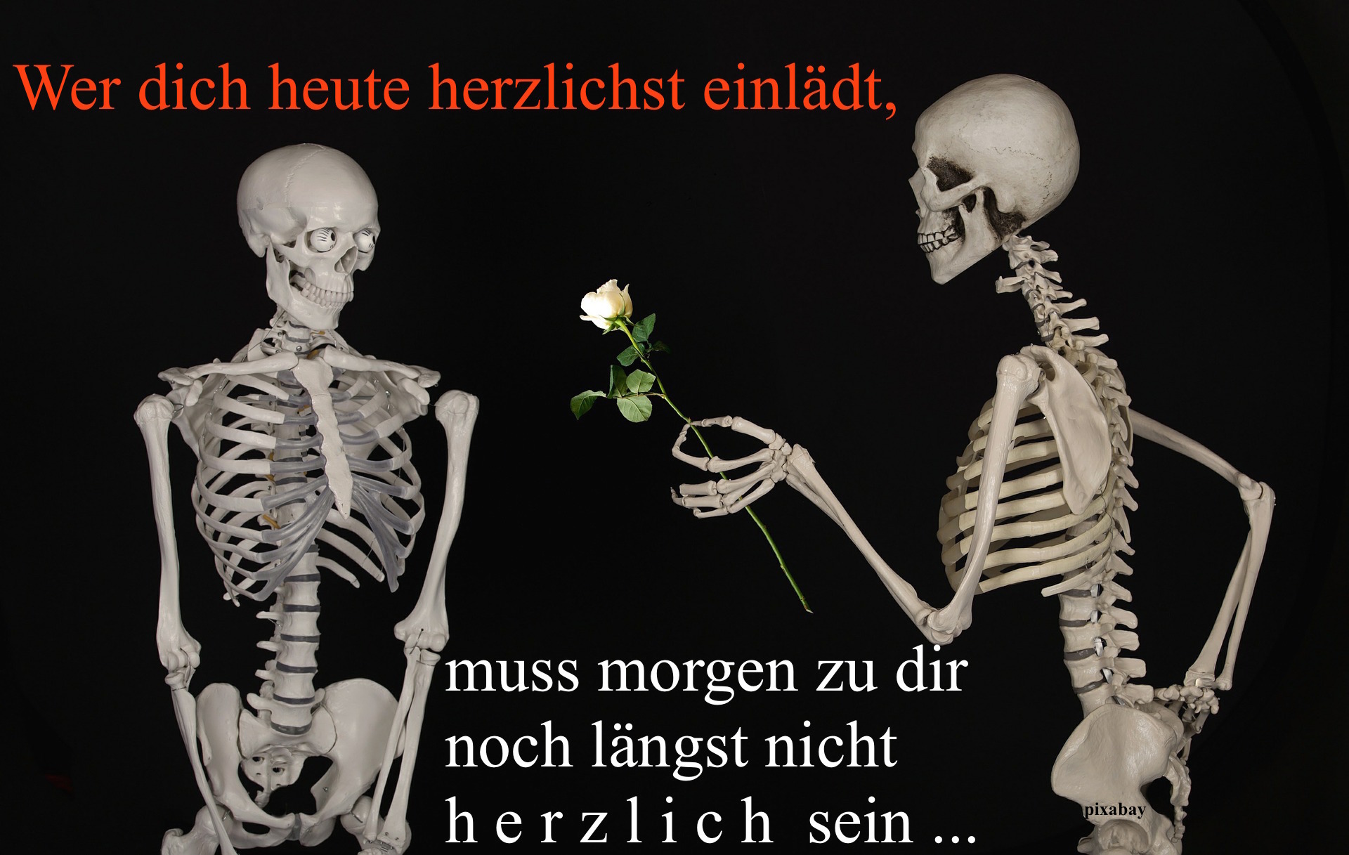 SSW660.Gedanke_Herzlichkeit