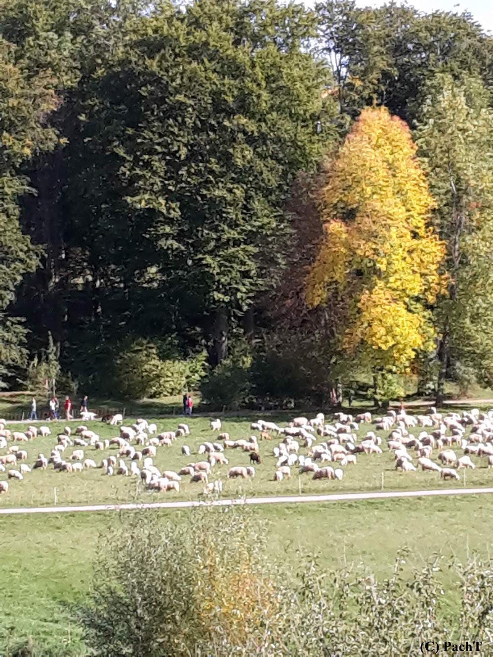 Weimar Ilmpark HerbstSpaziergang
