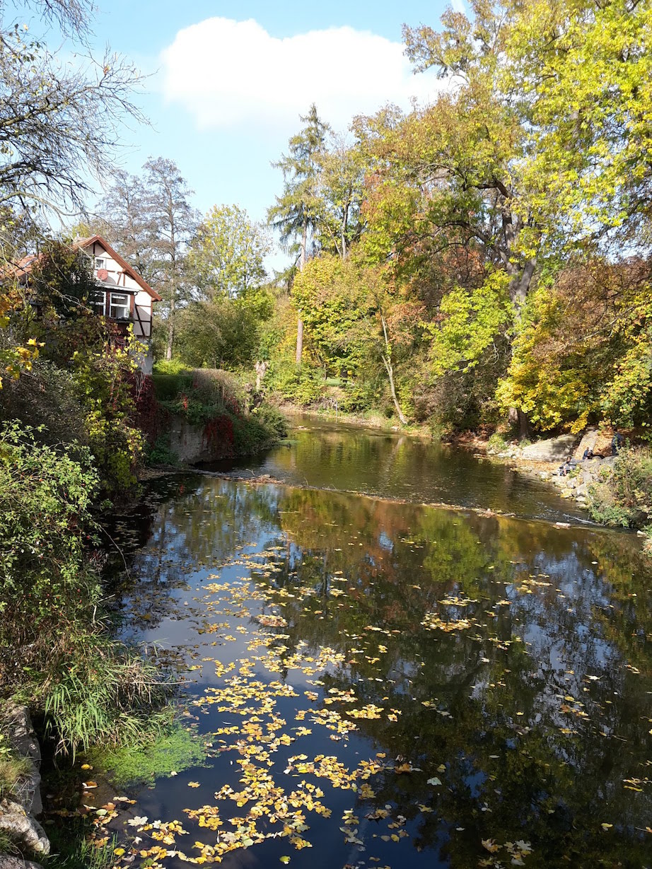 Weimar IlmPark IlmBrückeBlick