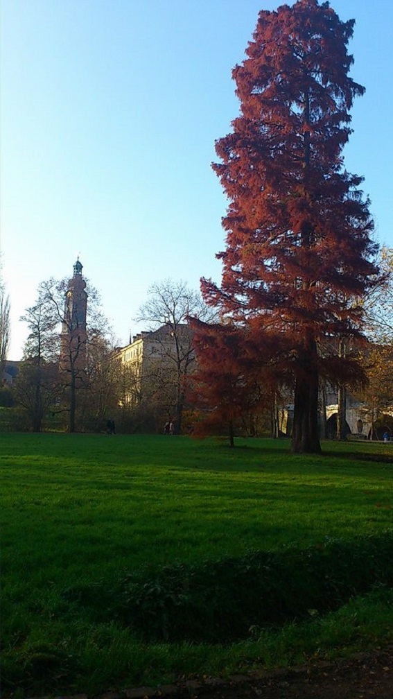 Weimar IlmPark Impression 9 Herbst.jpg
