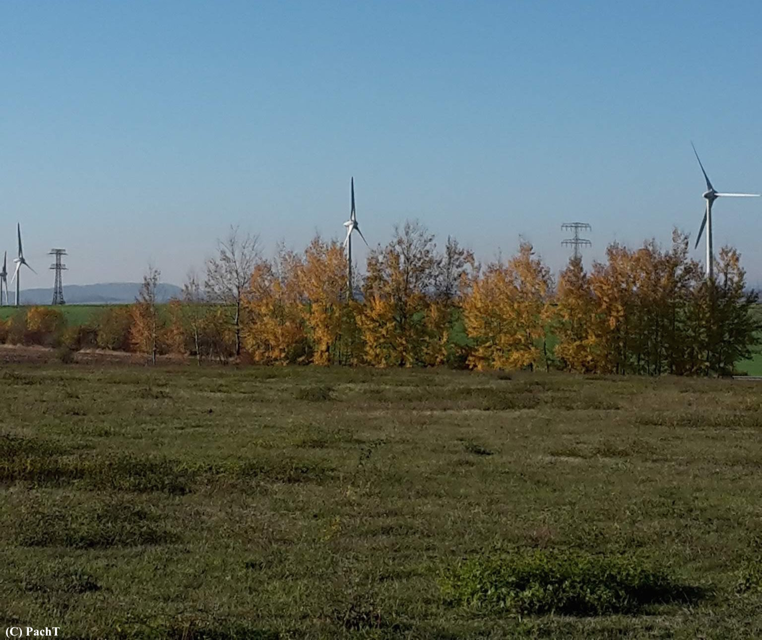 Herbst mit Windrädern 1