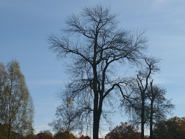Weimar GoetheGartHaus Ilmpark Herbst 0 2010