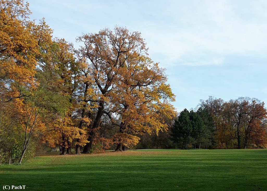 Weimar IlmPark Impression 14 Herbst.jpg