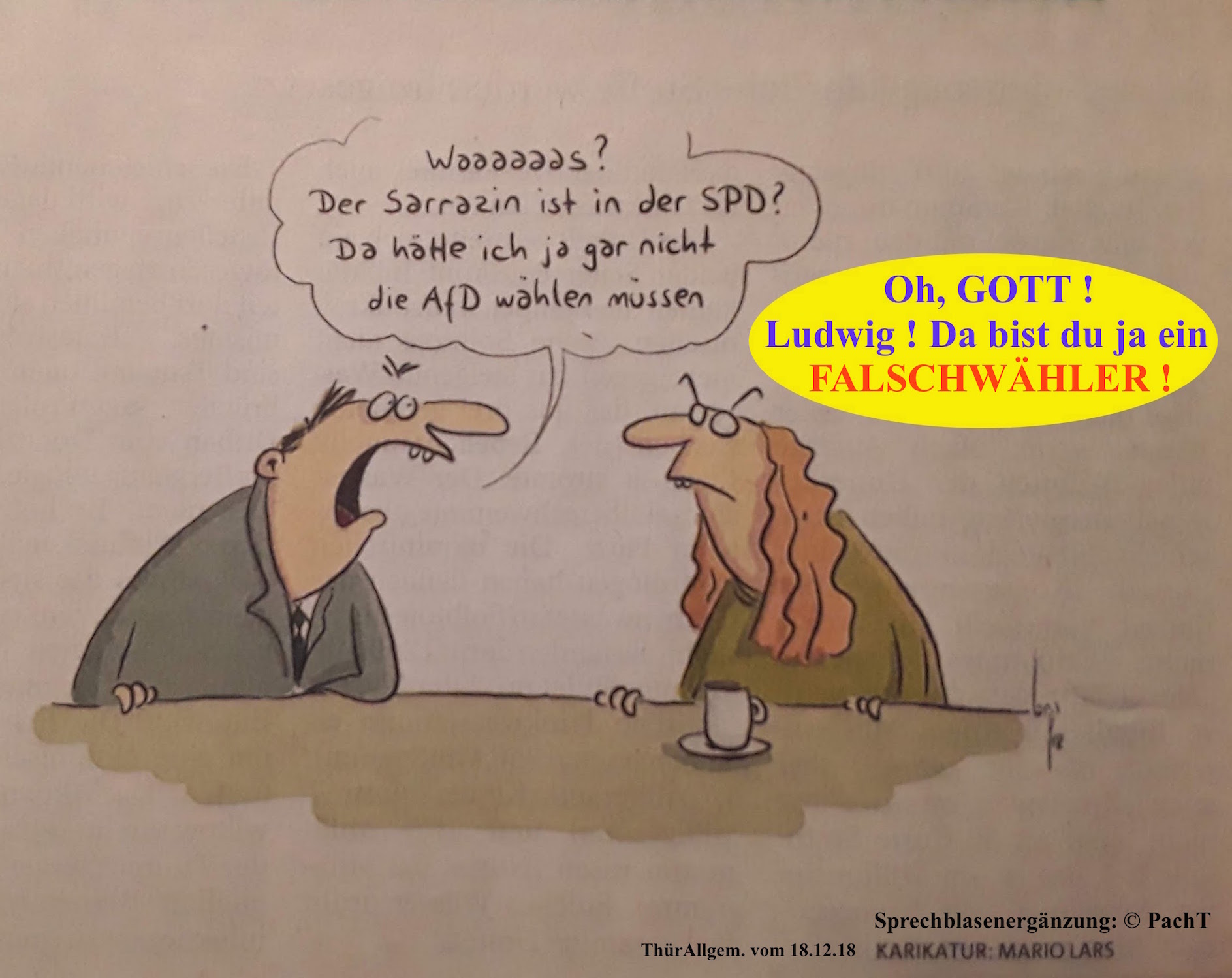 Karikatur Falschwähler