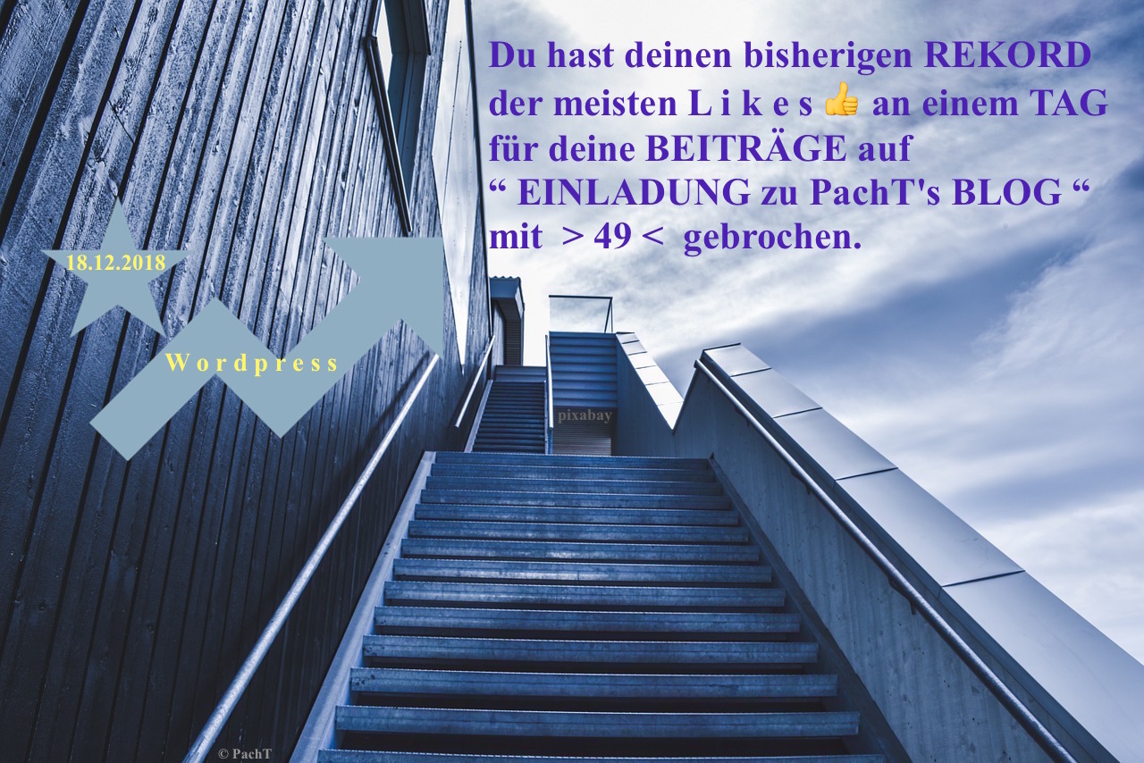 PachTs wordpress 29 Neuer LIKES - TagesRekord_ 18.12.18