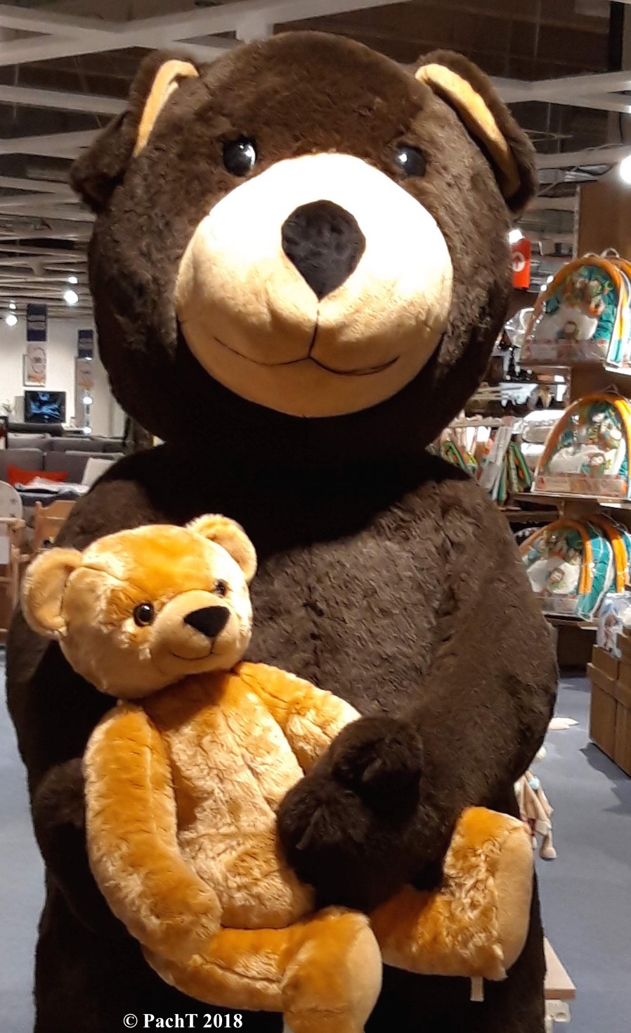 Teddy und Bär