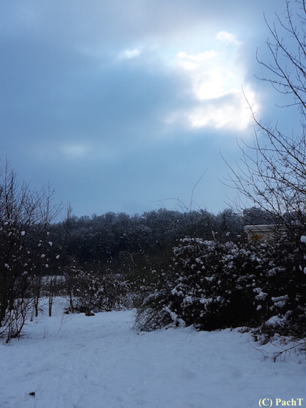 WinterSpaziergang 2018.01.21 Buchenberg