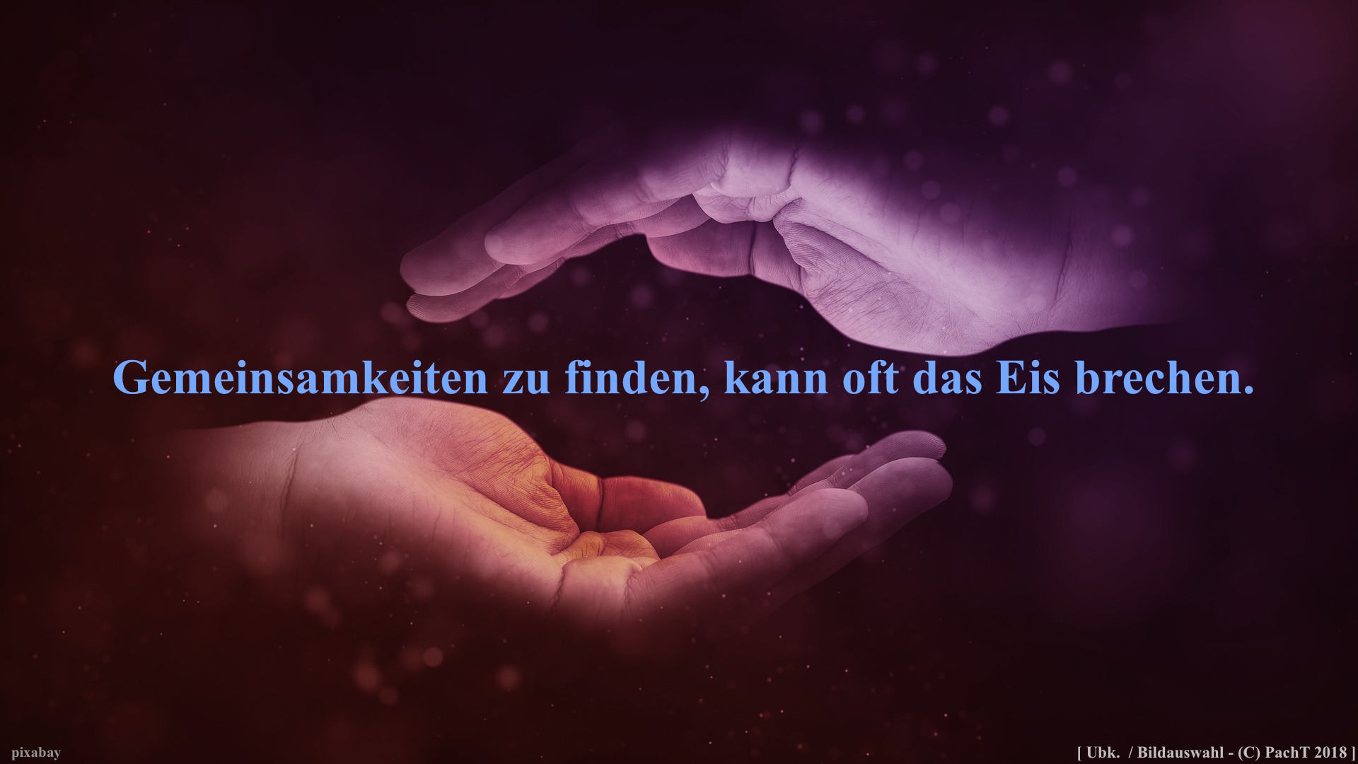 Zitat Gemeinsamkeiten